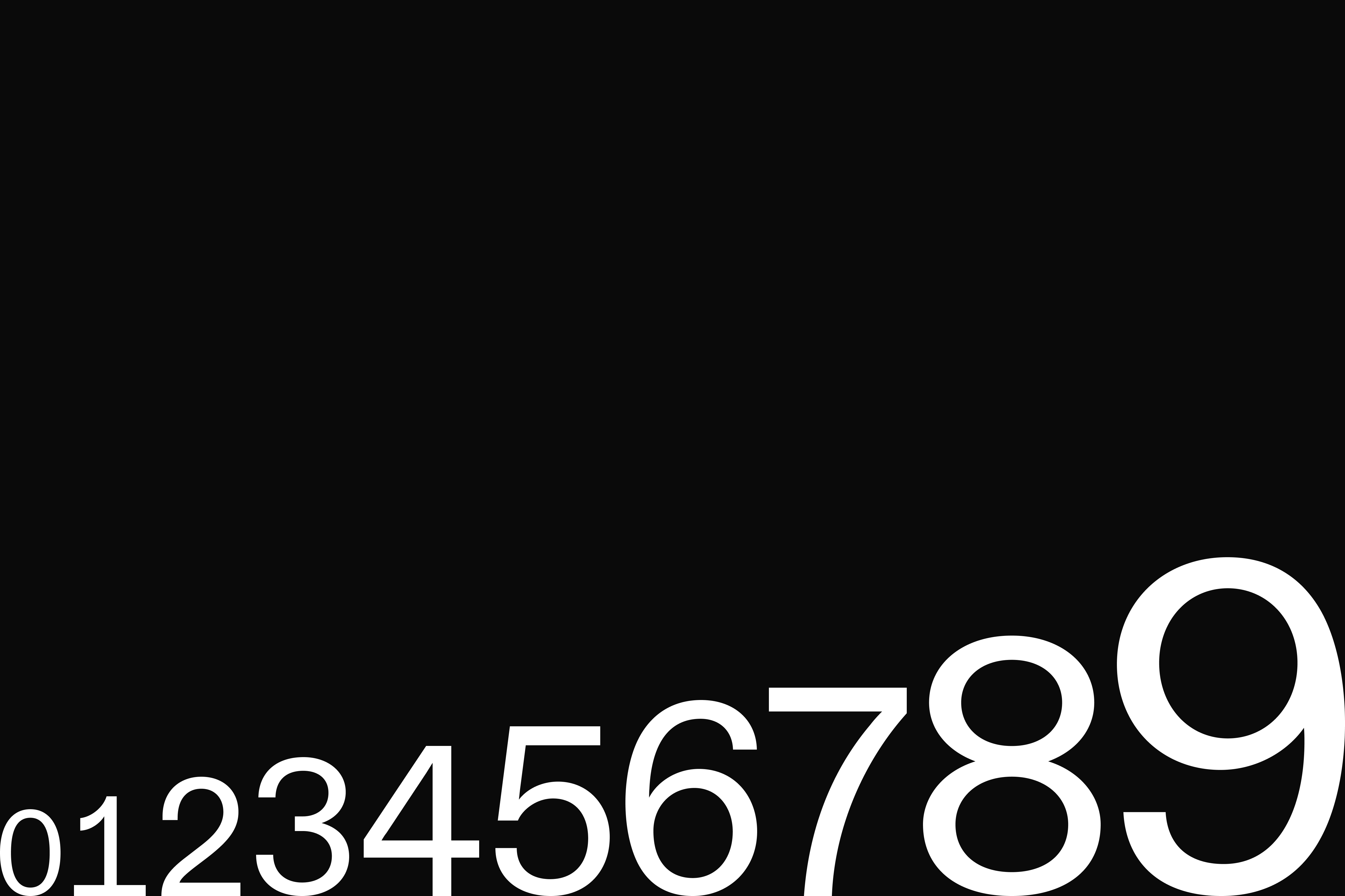 Diatype Mono Regular for our numbers