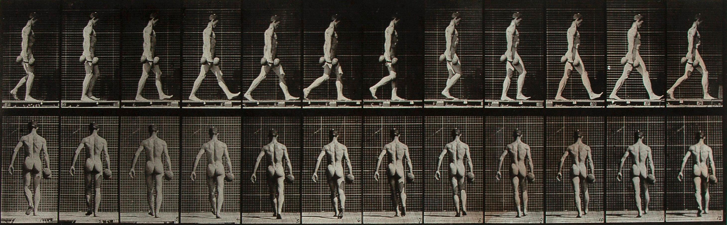 Farmer's Carry from Eadweard Muybridge's Studies of motion